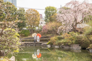 桜ロケーションのご紹介！
