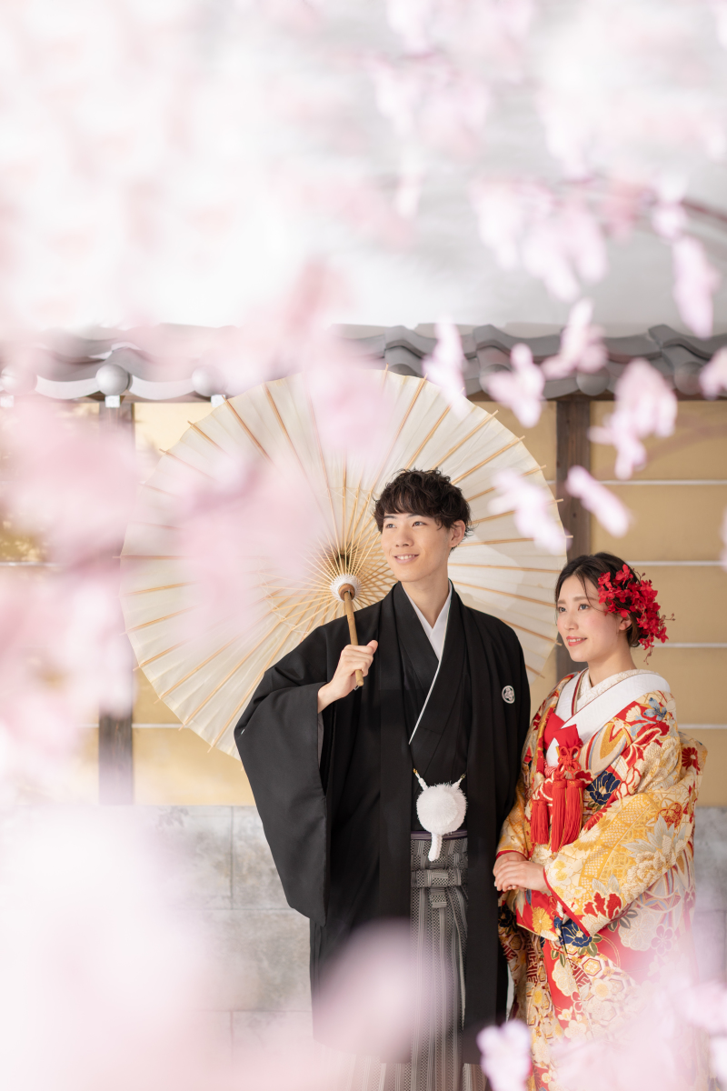 満開の桜の中で