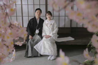 屋内庭園スタジオでお花見！