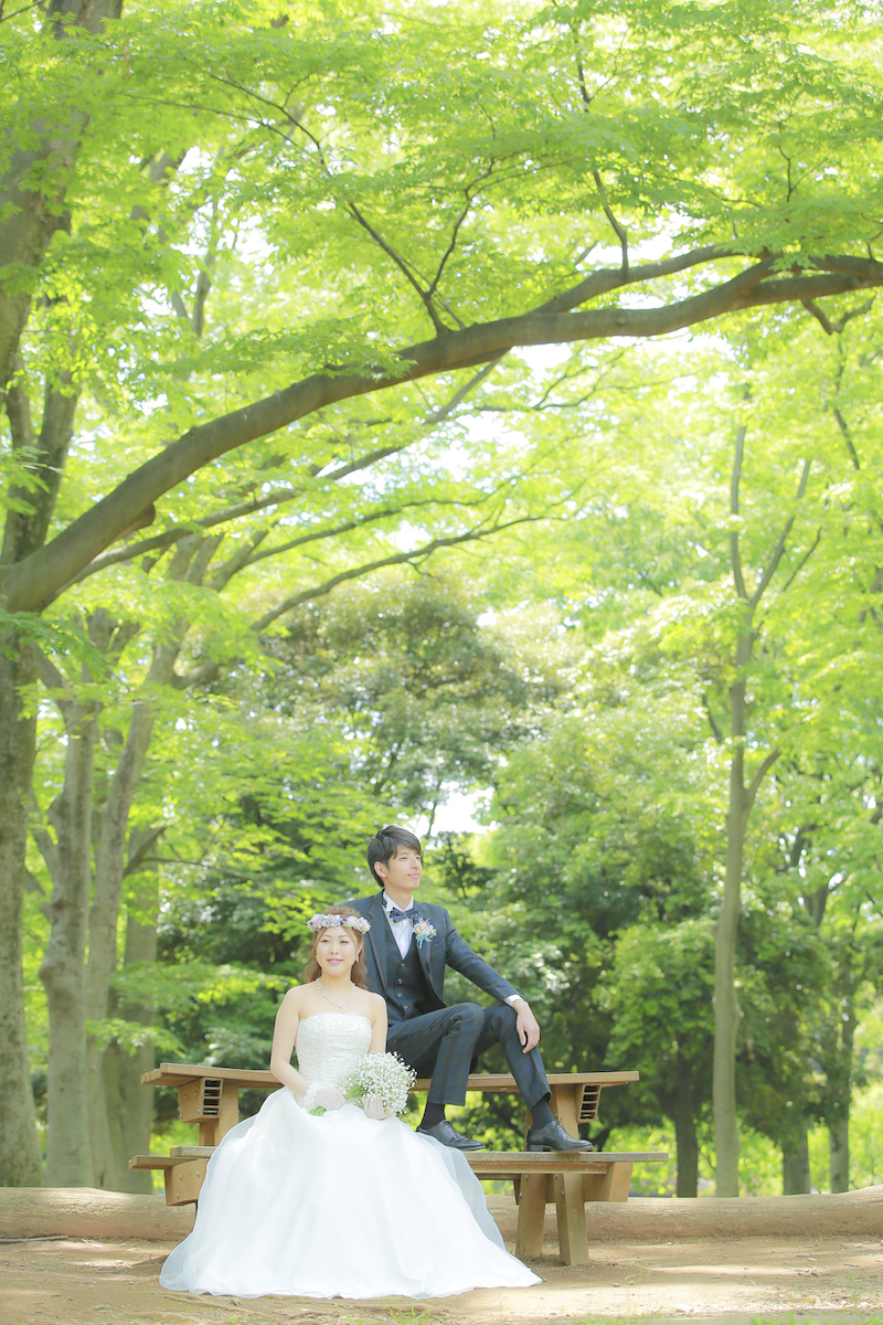 『緑＋ベンチ』