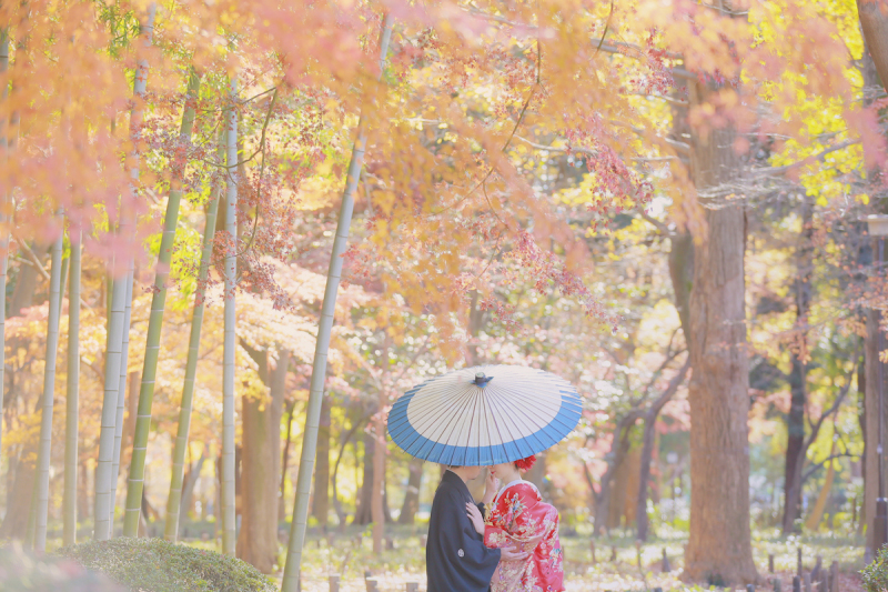 『番傘＋紅葉』