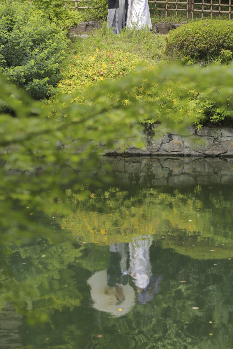 目白庭園鉄板ショット。パート2