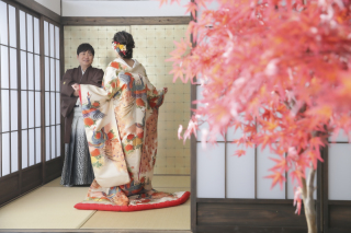 秋の屋内庭園スタジオ