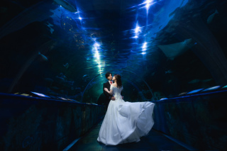 しながわ水族館でウェディングフォト