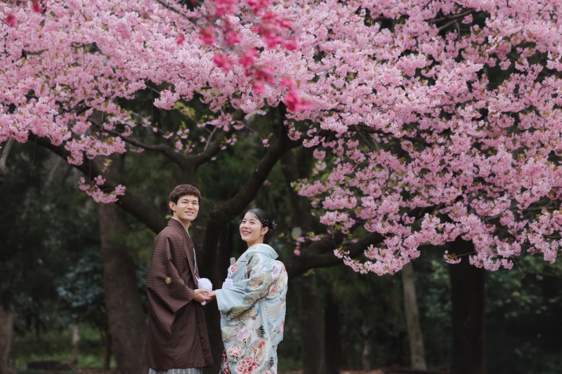 桜ロケーション