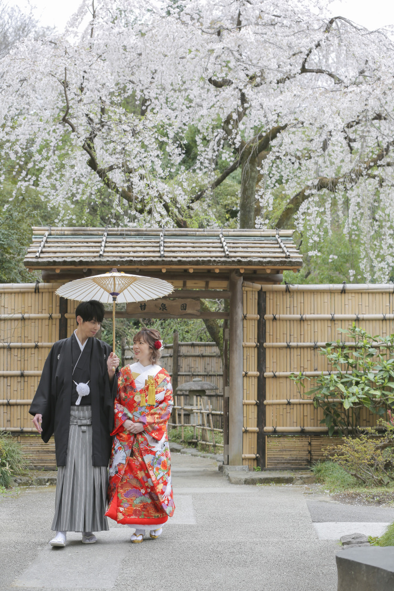 桜バックでお散歩ショット！