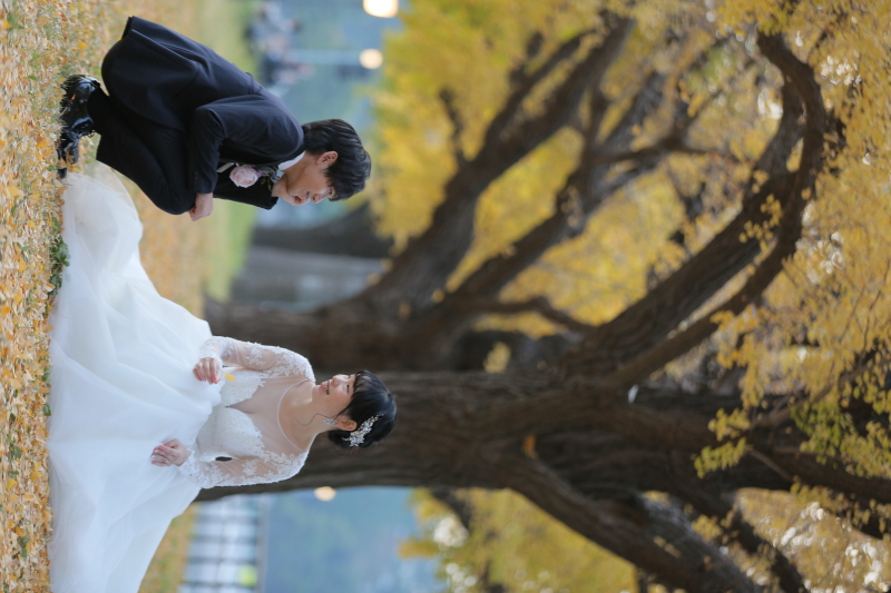 イチョウ並木の下で