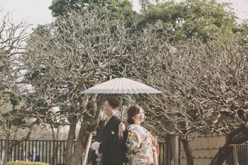 『日差し＋枯れ木』