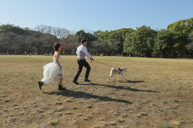 全力ダッシュ！