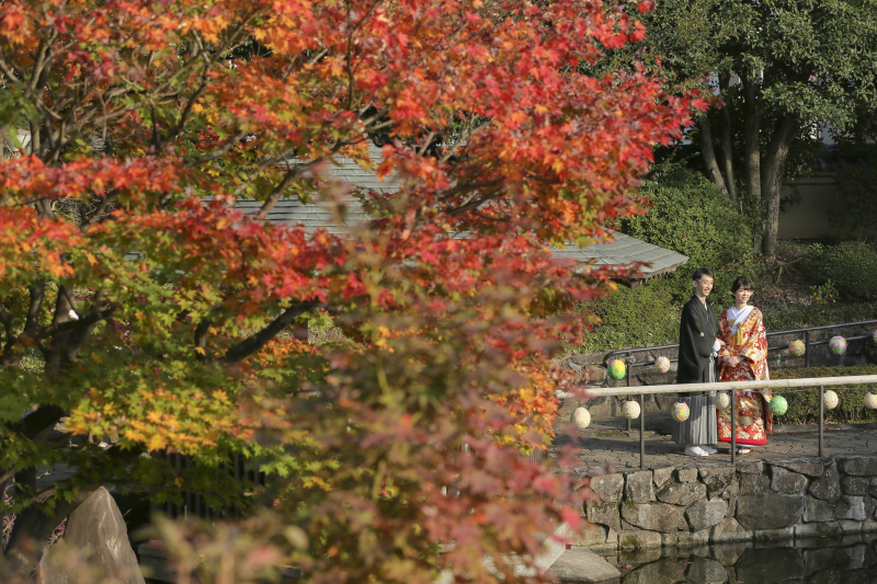 色づき始めた紅葉。