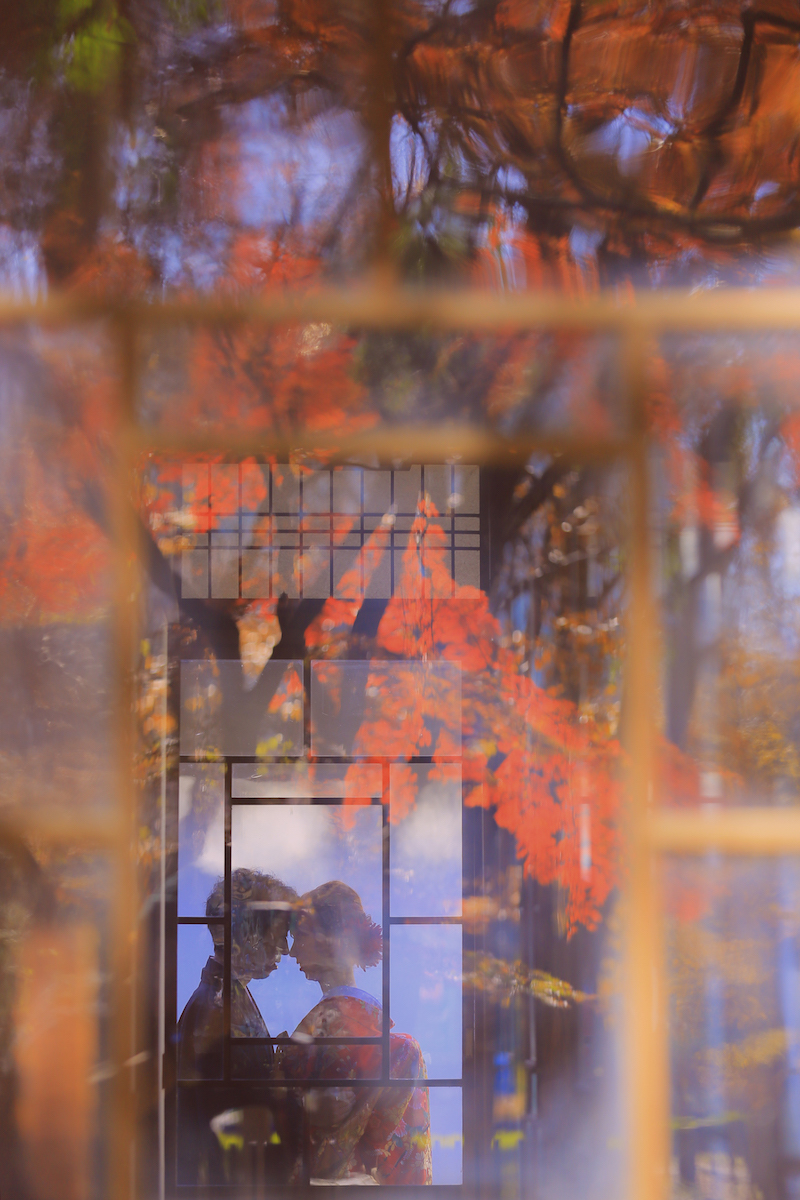 『窓越し＋紅葉』