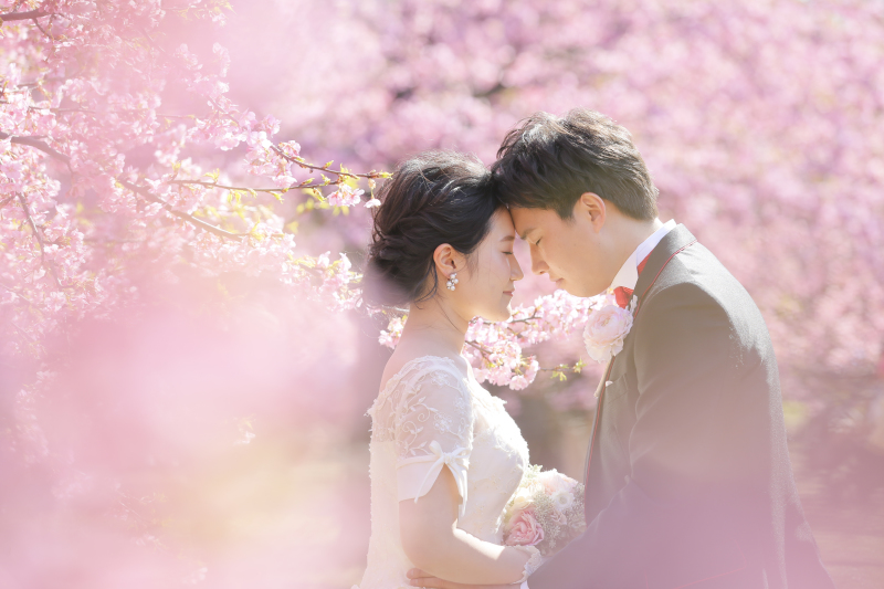 桜の花びらと。