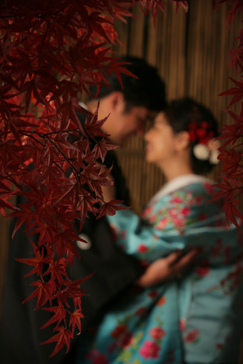 紅葉に隠れながら