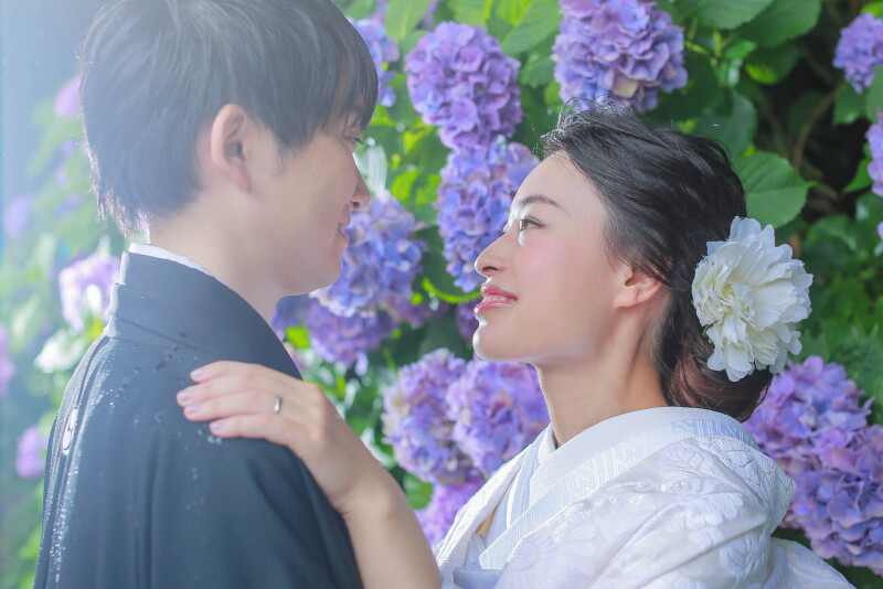 6月の紫陽花ロケ受付開始!