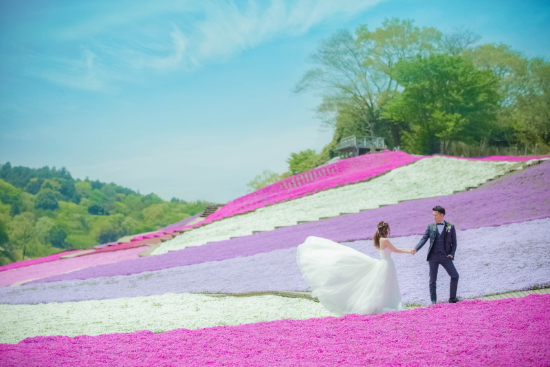 満開の芝桜とともに。