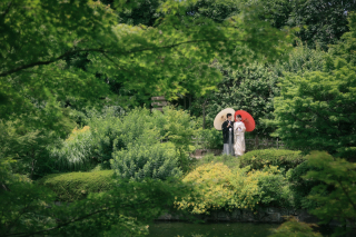 夏の目白庭園のご紹介！！