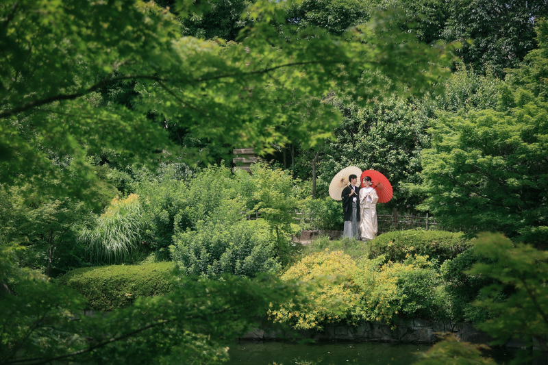 夏の目白庭園のご紹介!!