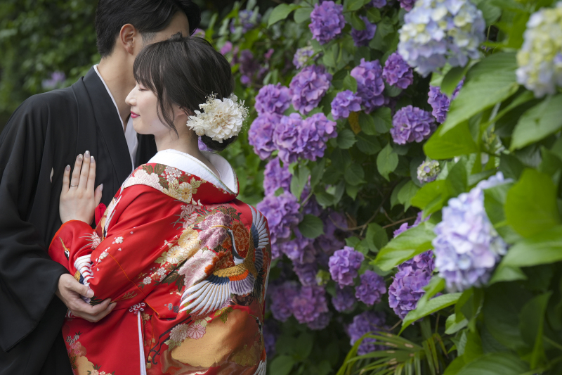 紫陽花in鎌倉