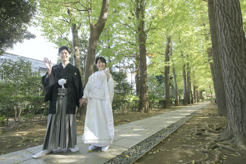 緑いっぱいの並木道