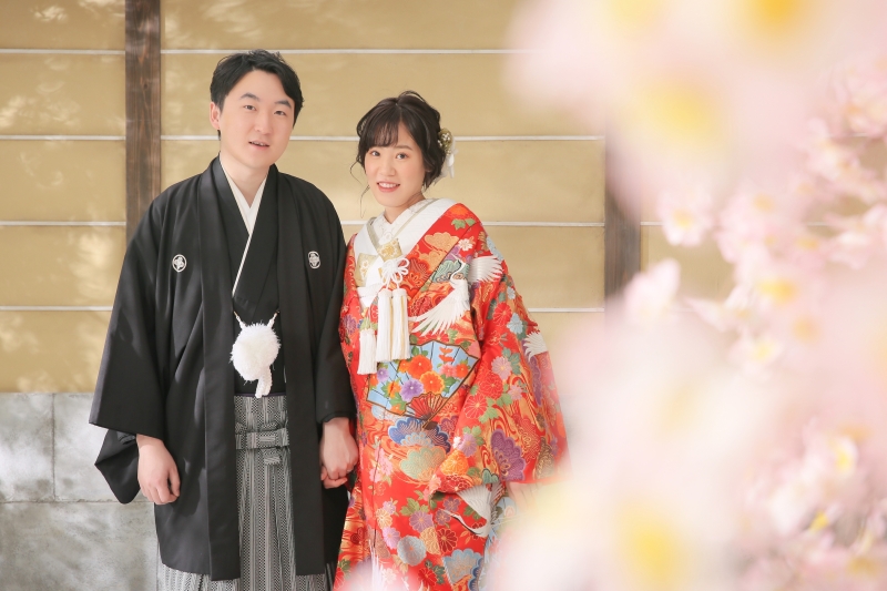 桜と撮る屋内庭園スタジオ