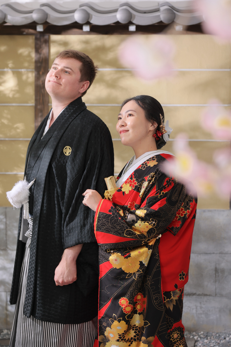 満開の桜を眺めるように