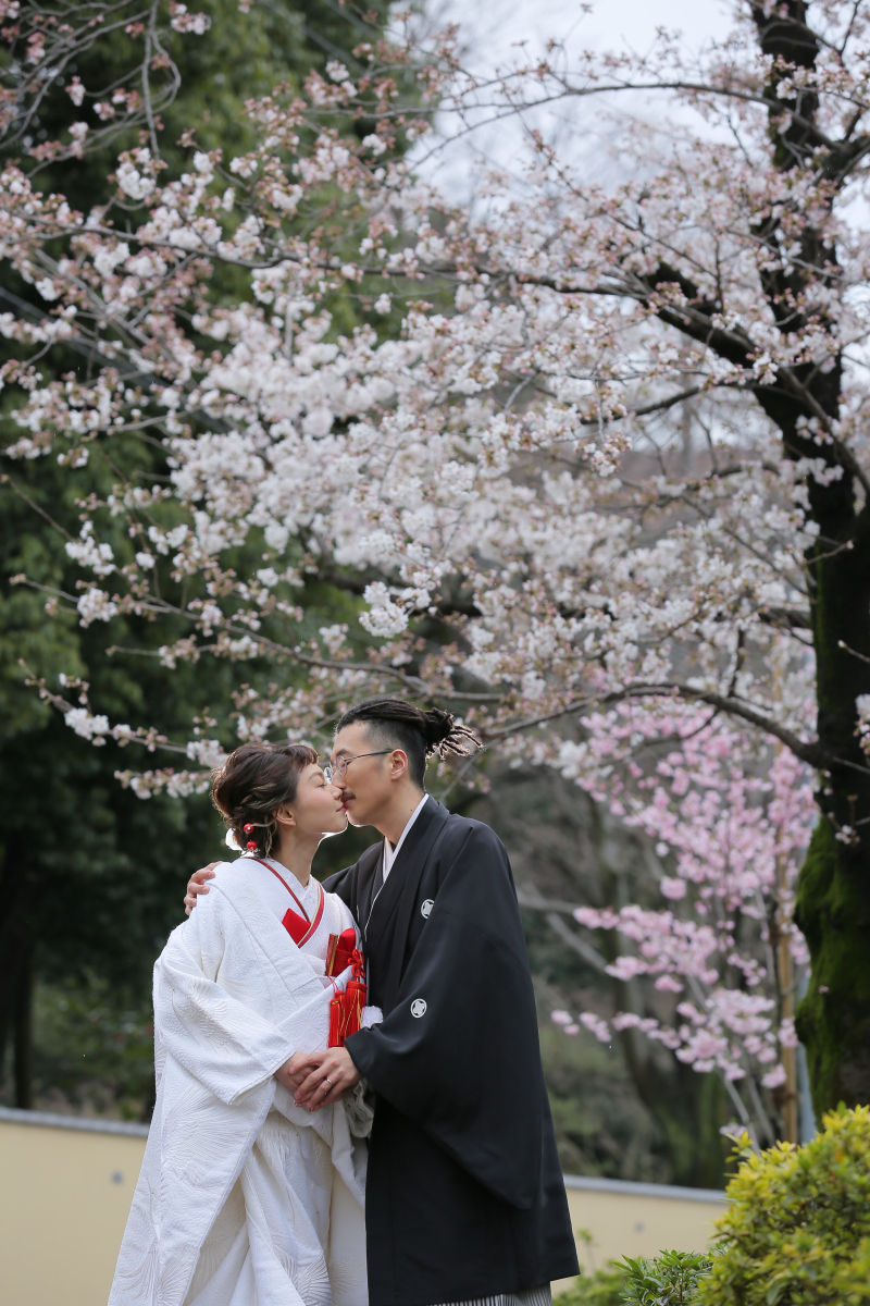 桜の木の下で。