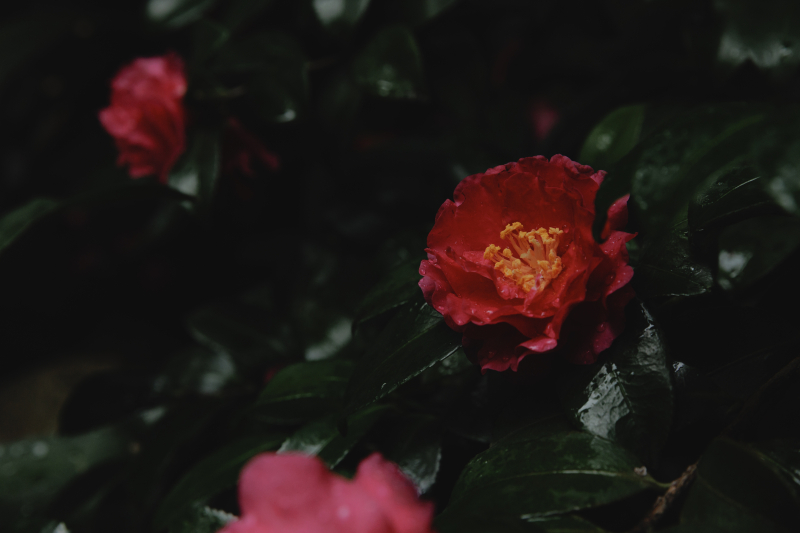 和装ロケーション