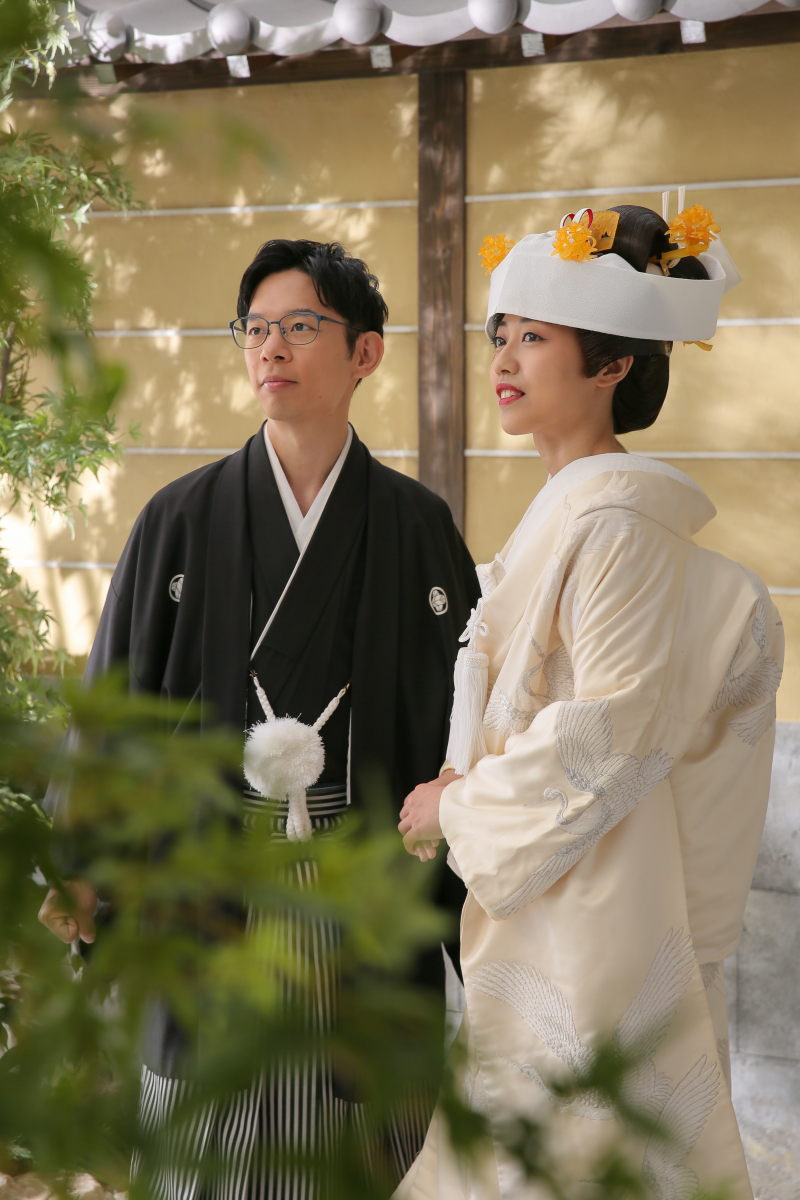 遠くを見つめて。