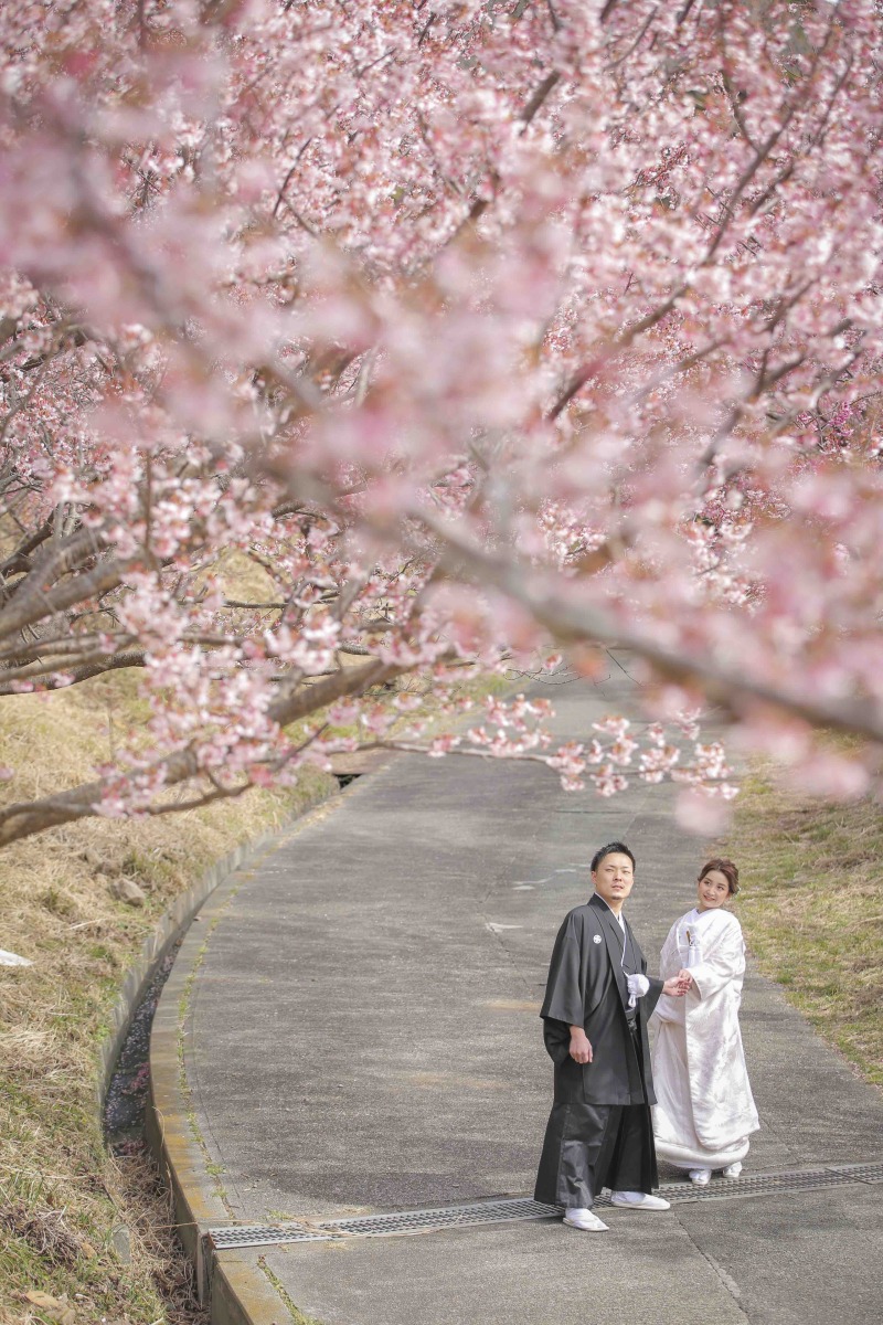 伊豆桜ロケーション