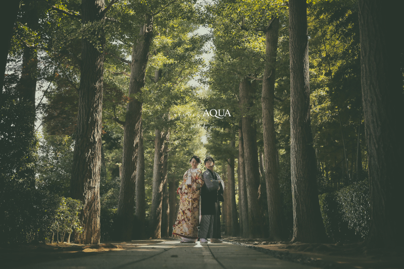 「イチョウ並木」