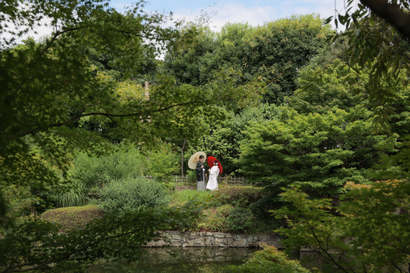 一面に広がる緑