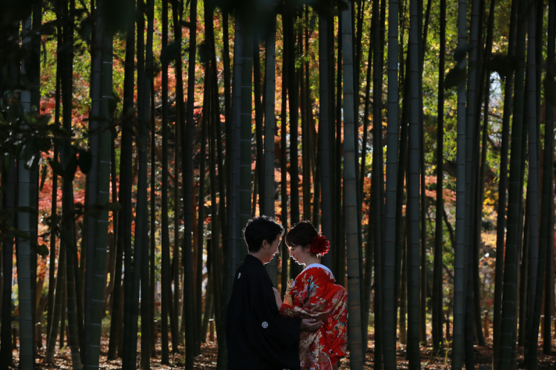 『竹林＋紅葉』