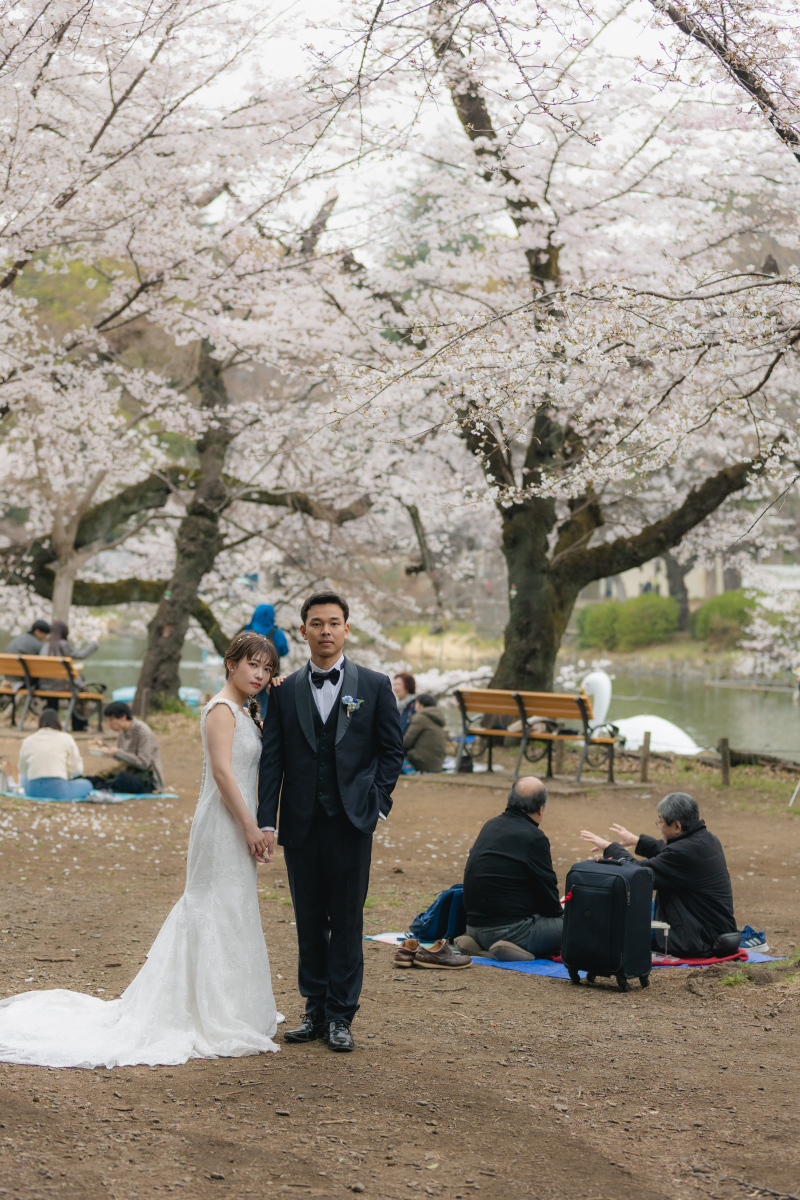 お花見する方々に紛れて