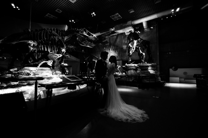 地球環境の変動と生物の進化