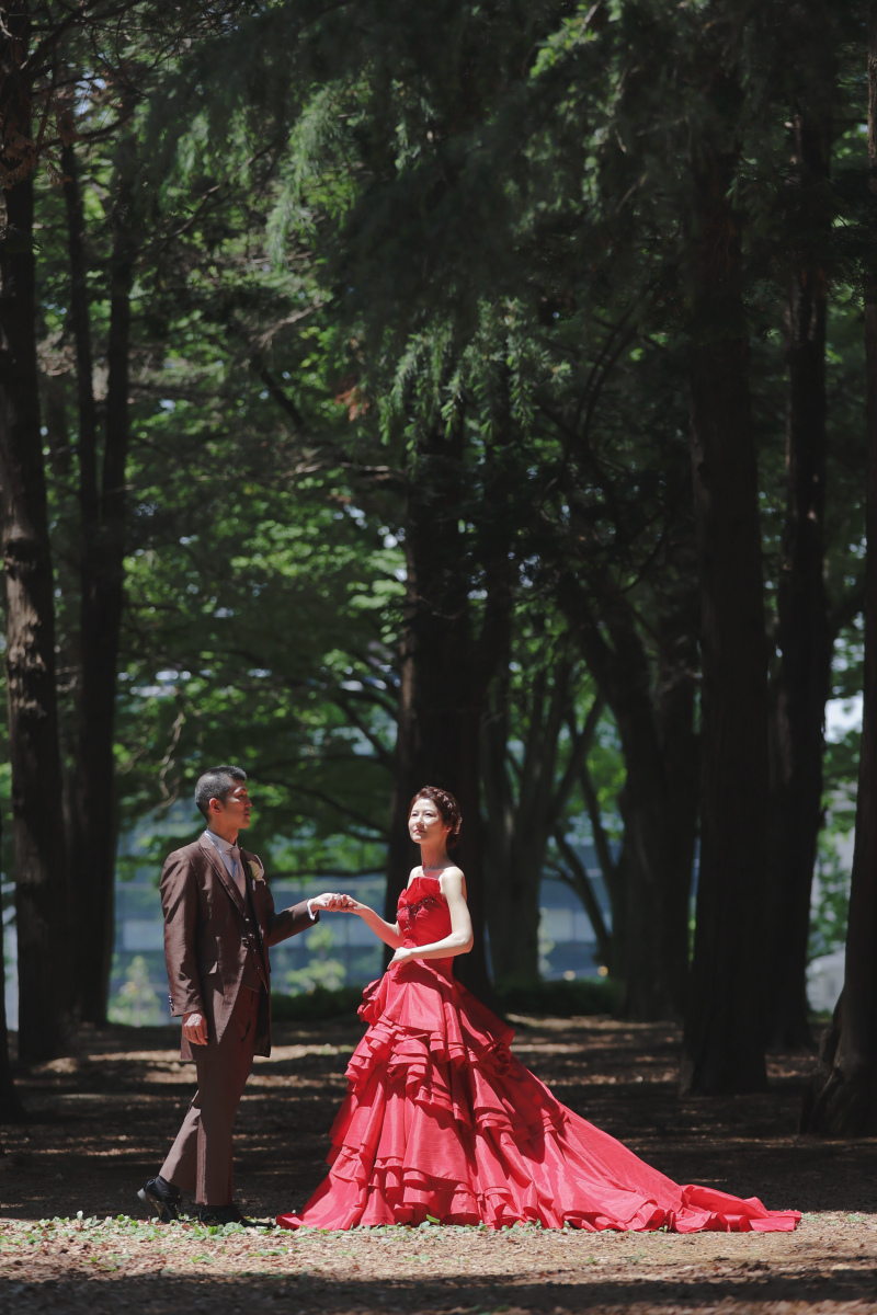 光の差す森林の中で