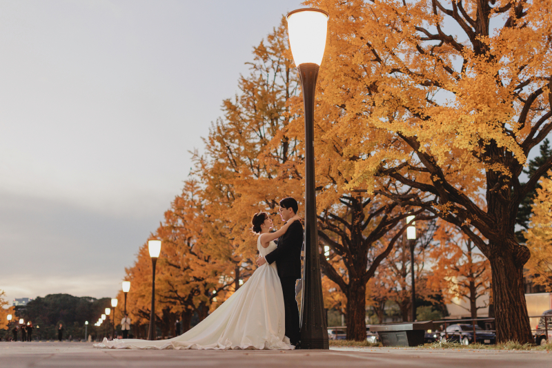 銀杏が綺麗に色づいていました