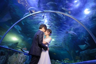 水族館ロケ