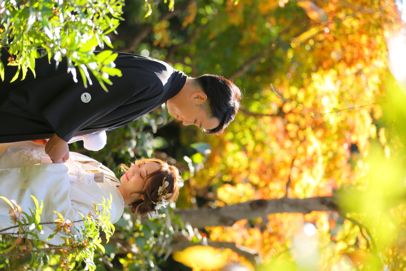 ベストショット！！