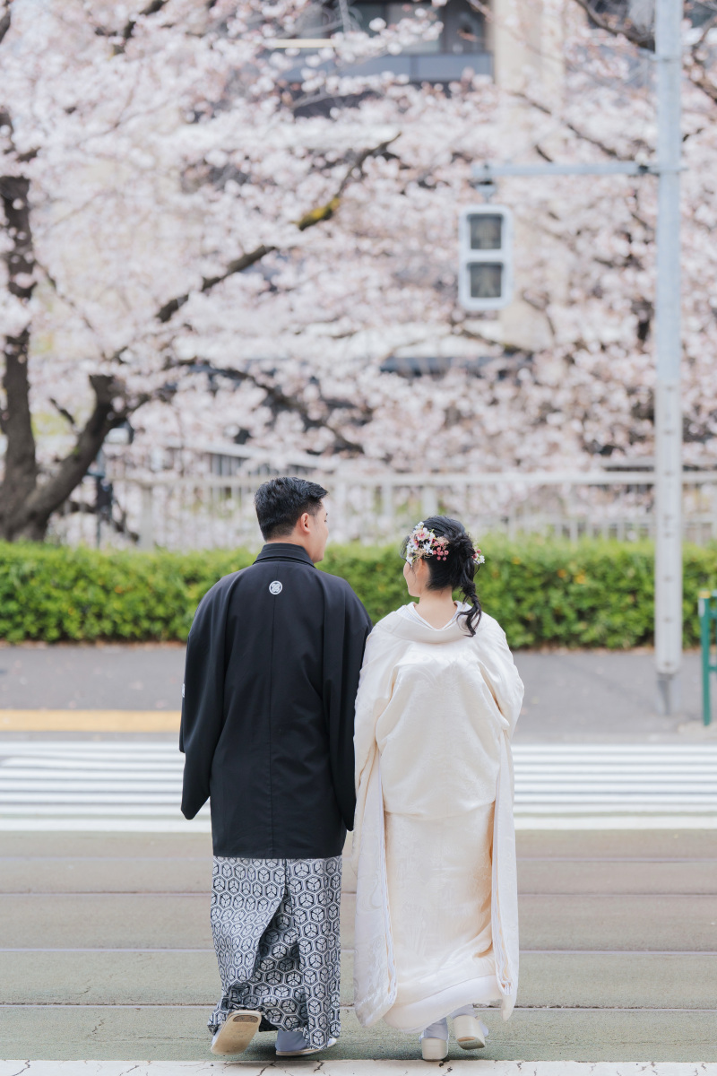 道路の向こう側の桜へ