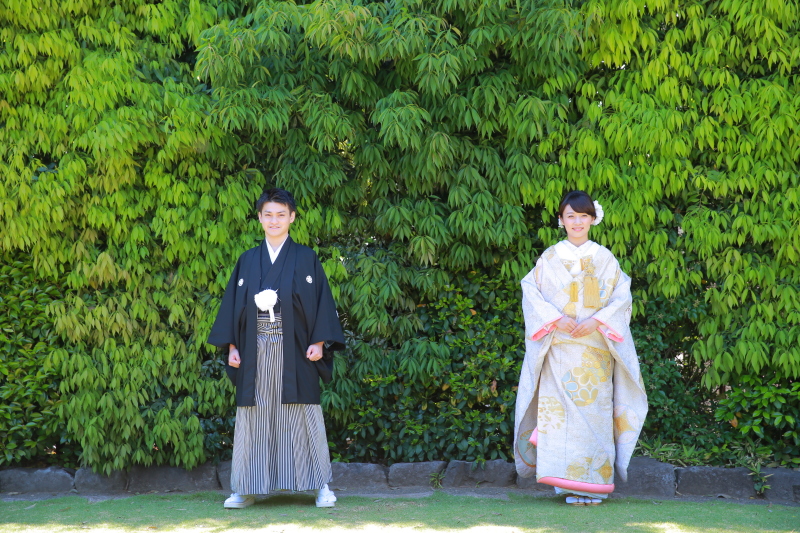 一面、ミドリ。