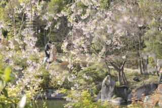 西日に光るお二人。