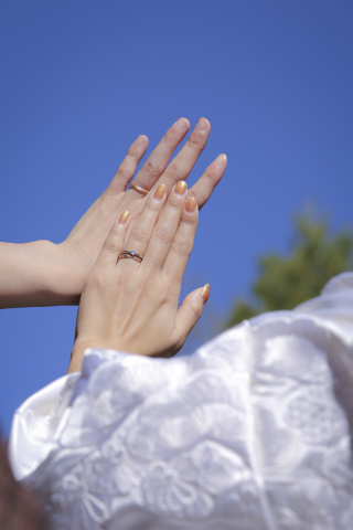 青空の下での紅葉撮影