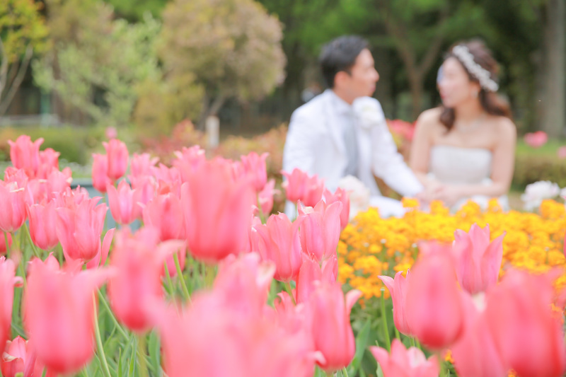 チューリップも