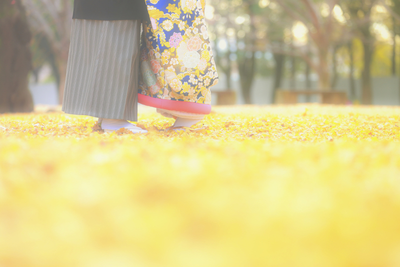 『黄色の絨毯＋足元』