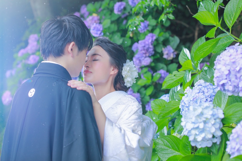 紫陽花のロケ受付開始!