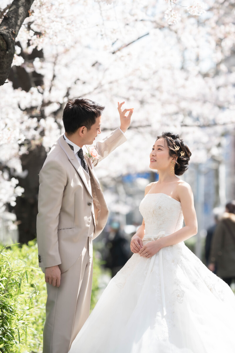 とれた花びら！