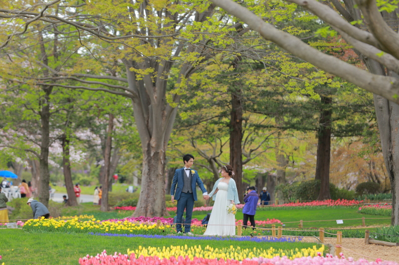 チューリップ畑はカラフル！