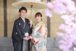 桜をスタジオで