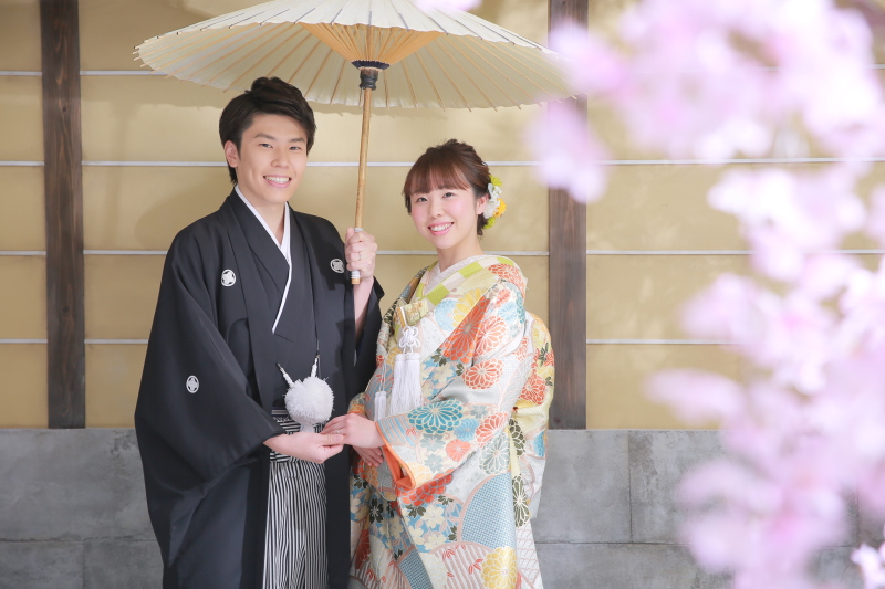 桜をスタジオで