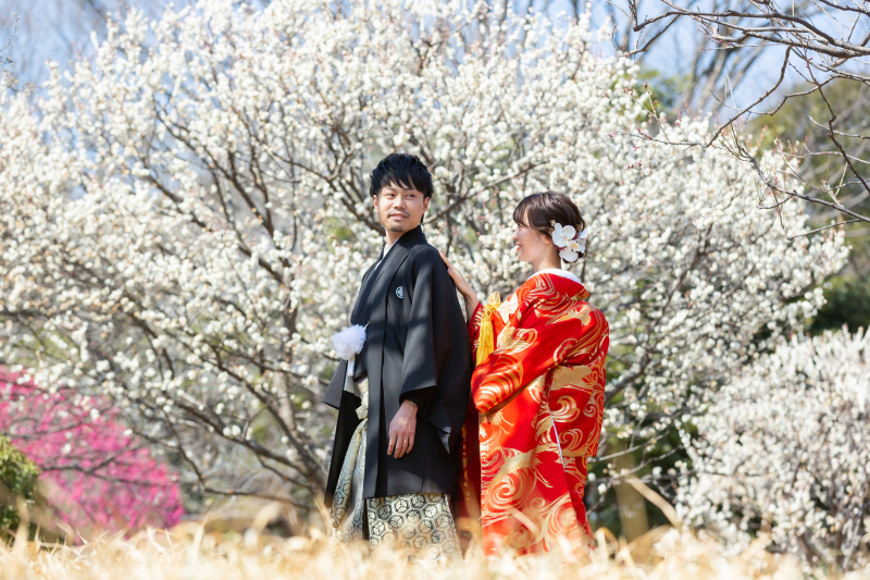 梅の季節です！